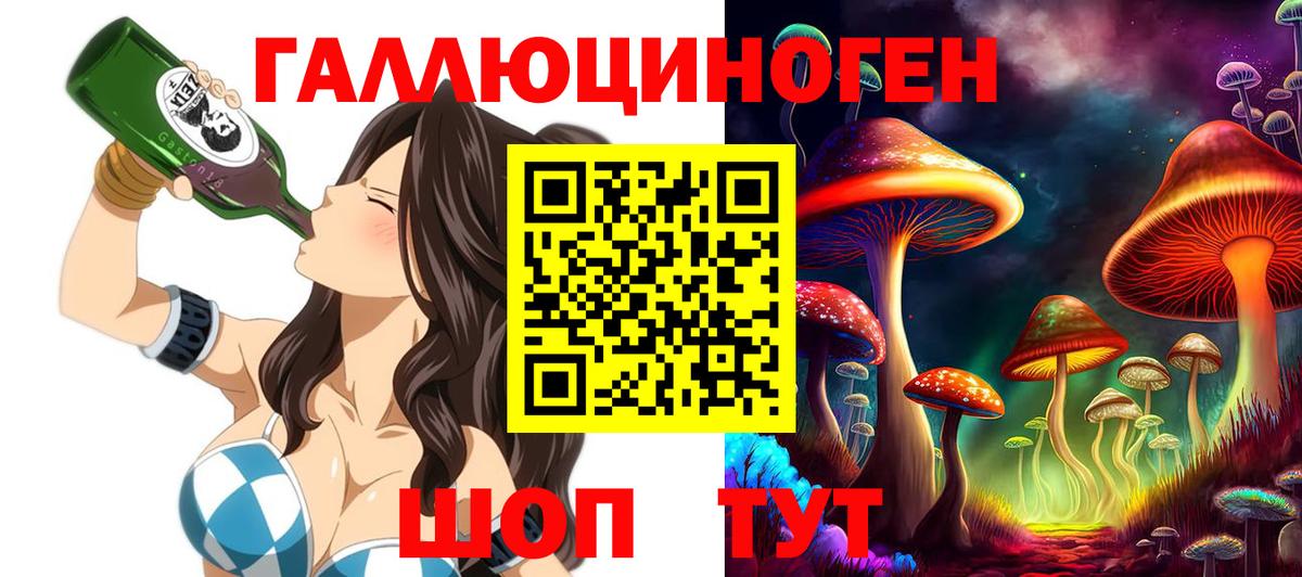 Ишимбай  Псилоцибиновые грибы Psilocybe  Псилоцибиновые грибы прущие грибы  Вход с VPN 