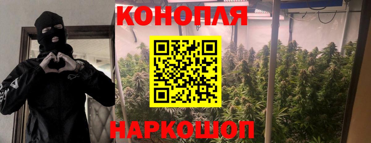 Бошки марихуана THC 21%  Вход с VPN  Ишимбай  Марихуана White Widow 